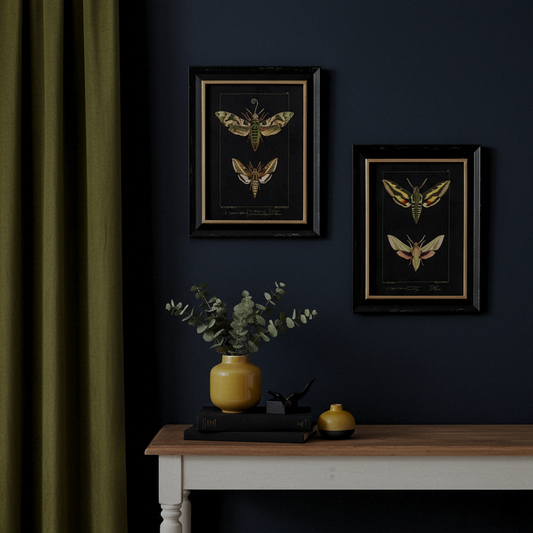 Two framed insect illustrations on a dark wall with a wooden table and decorative items.
