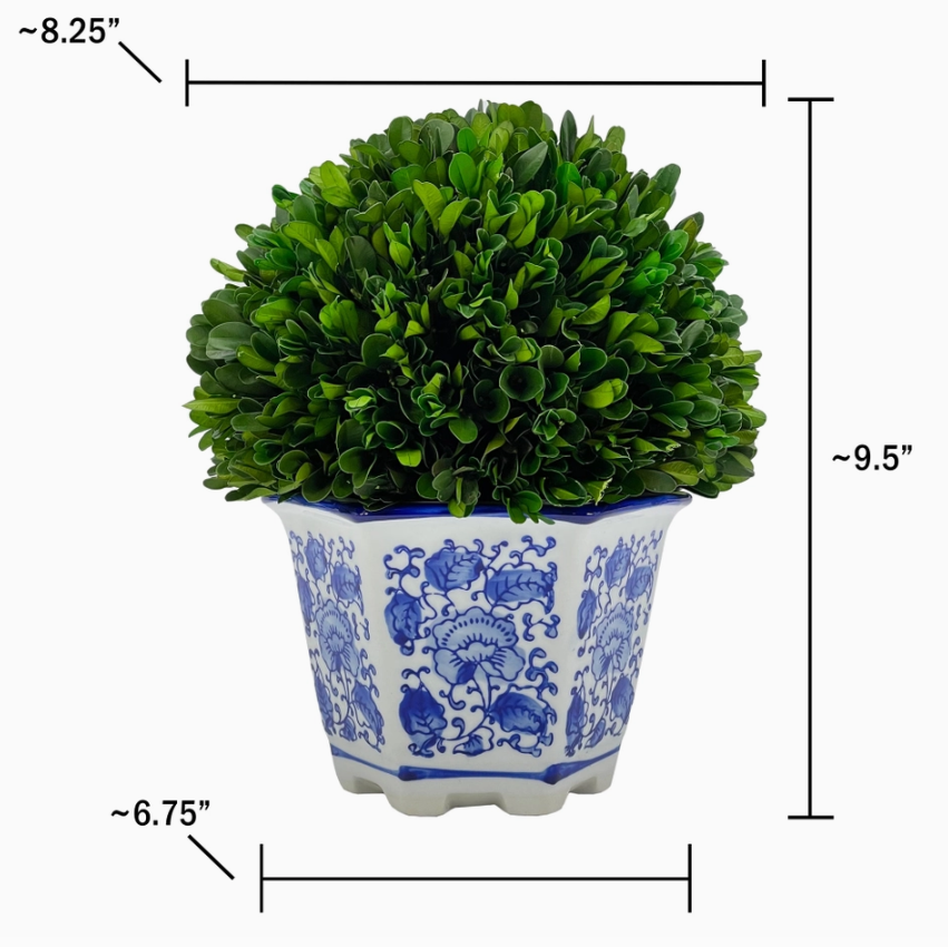 Boxwood Ball Topiary in Hexagon Blue & White Ceramic Pot