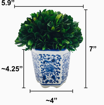Boxwood Ball Topiary in Hexagon Blue & White Ceramic Pot